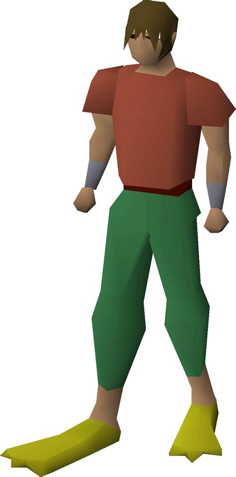 Flippers - OSRS Wiki