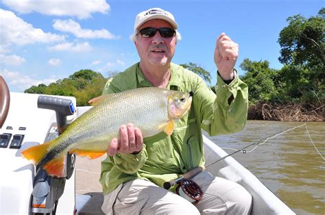 More Dorado Fishing on the upper Rio Parana - Faraway Fly Fishing