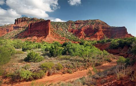 Road Trip: Caprock Canyons State Park - Brick & Elm