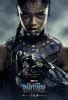 Black Panther Movie Poster (#3 of 29) - IMP Awards