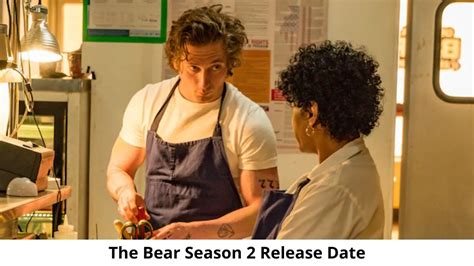 The Bear Season 2: Release Date, Plot, and more! - DroidJournal