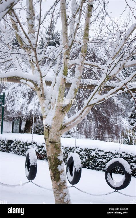 Birmingham Botanical Gardens and Glasshouses Edgbaston Birmingham England in the snow Stock ...