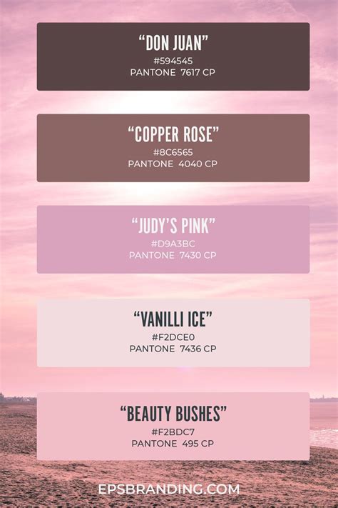 17 Beautiful Pink Color Palettes - Eps Branding | Color palette pink ...