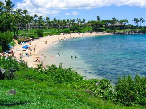 Kapalua Bay Snorkeling Secrets! The Complete Guide to Maui Snorkeling!