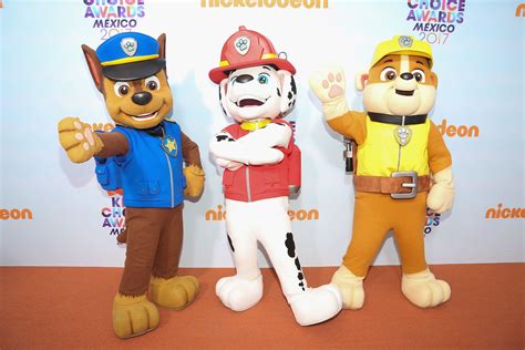 Kids' TV: Meet Your Favorite Paw Patrol Characters