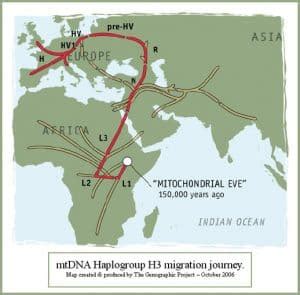 Mitochondrial Haplogroup H: Migration and Genetic Influence