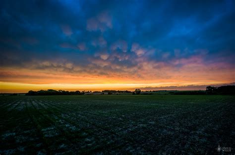 When the Sky Opens - Northern Illinois | Where to Willie