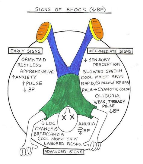 Stages of shock | On the job | Pinterest