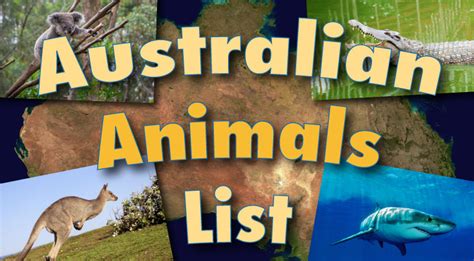 Australian Animals List With Pictures Facts Discover Australia S Wildlife