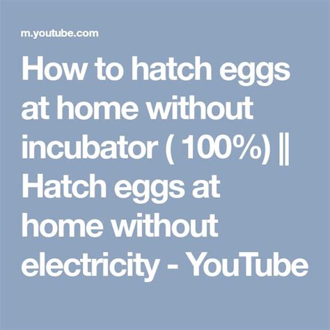 How to hatch eggs at home without incubator ( 100%) || Hatch eggs at home without electricity ...