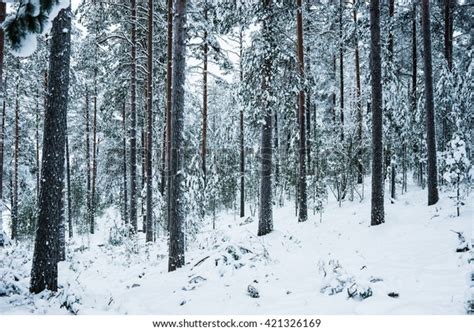 Snowy Forest Finland Stock Photo (Edit Now) 421326169