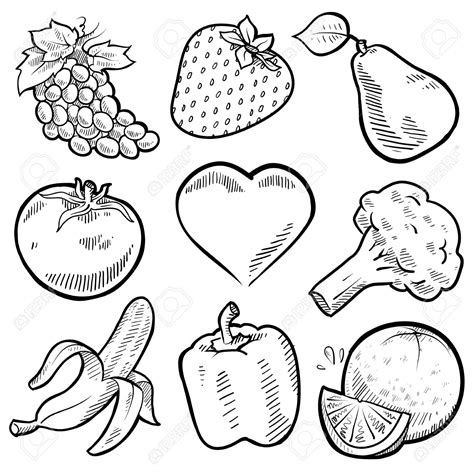 Vegetables Line Drawing at GetDrawings | Free download