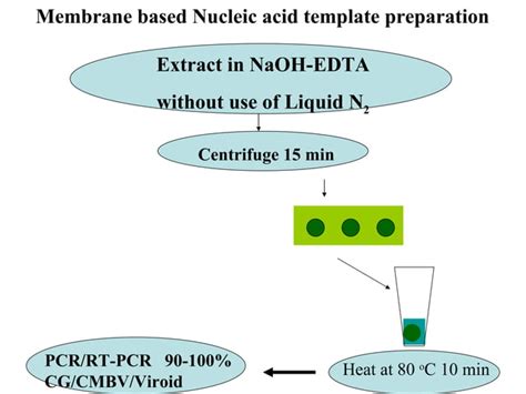 Dna extraction | PPT