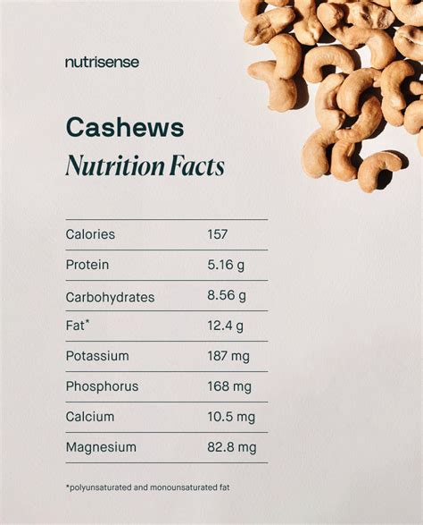 Do Cashews Raise Blood Sugar? - Nutrisense Journal