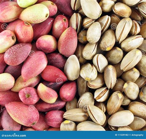 Fresh pistachios stock photo. Image of color, colorful - 11539182