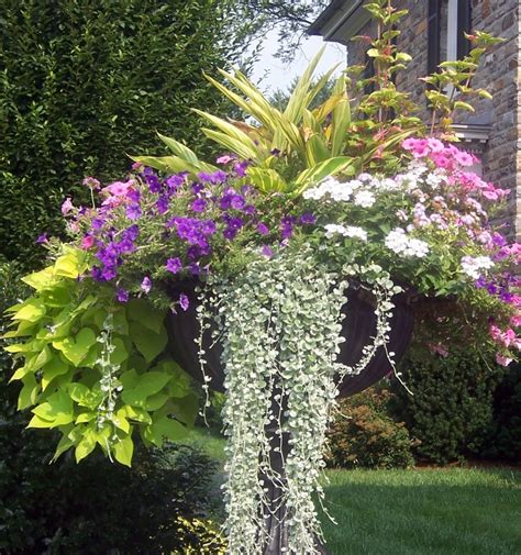 8 Fantastic Container Gardening Ideas For Limited Space