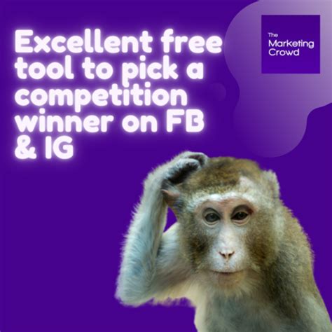 Free tool for picking competition winners on FB & Instagram - The ...