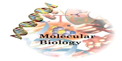 Molecular Biology - Assignment Point