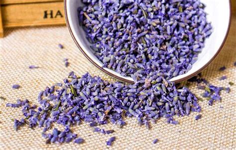 Benefits of Lavender Tea