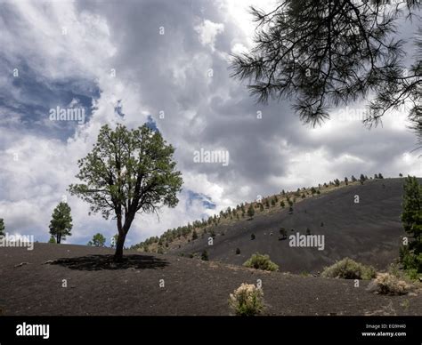 Sunset Crater Volcano National Monument lava flow, Arizona Stock Photo ...