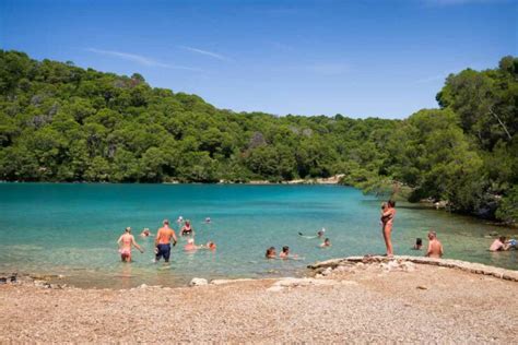 Mljet National Park: Dubrovnik to Mljet Day Trip Guide [2024]