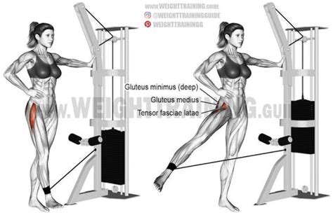 10 Hip Abductor Exercises For Stronger Hips and a Tighter Backside (2022)