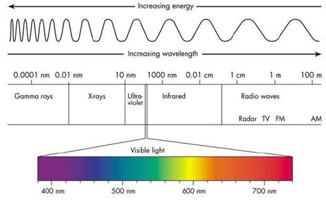 Little background on light [13] Absorption of light energy occurs only... | Download Scientific ...