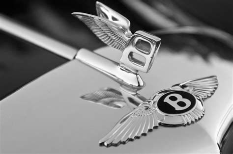 Pin on Cars in Black and White