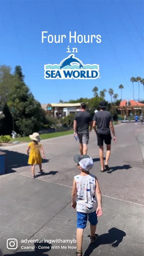 Four Hours at Seaworld San Diego | Seaworld san diego, Sea world, California adventure