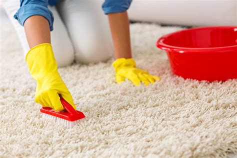 Carpet Cleaning Stock Photos, Pictures & Royalty-Free Images - iStock