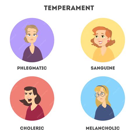 Tipos de temperamentos. Sanguino y colérico, flemático y melancólico. | Vector Premium