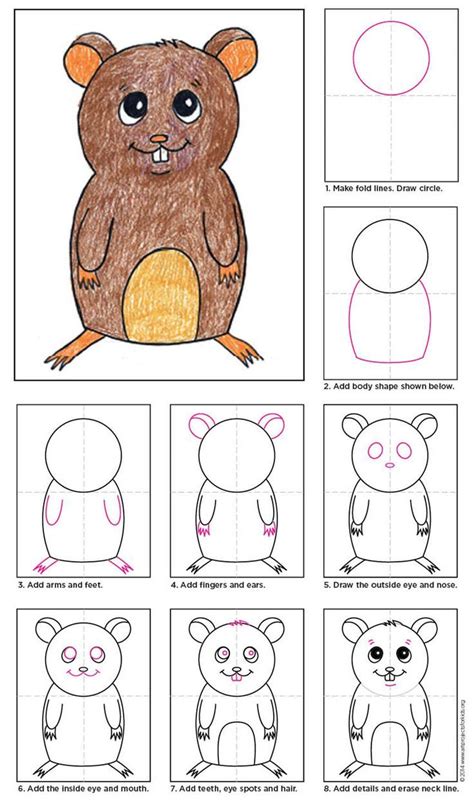 how to draw hamster - Căutare Google | Kids art projects, Art drawings for kids, Elementary art ...