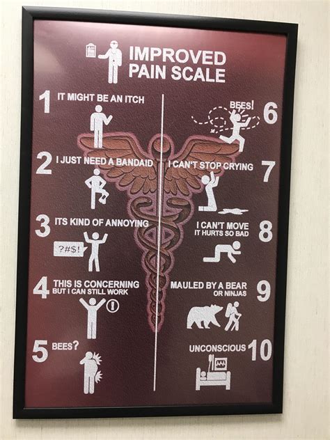 So on a scale of 1 to 10, how bad is your pain....somewhere around bees? : r/ankylosingspondylitis