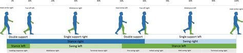 Loading Response Gait Cycle