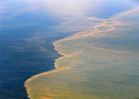 The Deepwater Horizon oil spill was 8 years ago. The ocean is still ...