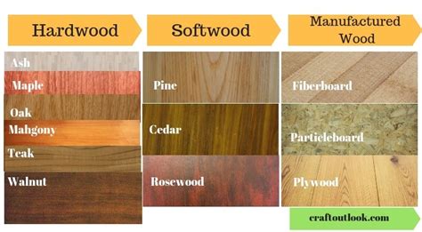 fun animal in: Different Types Of Softwood