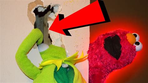 Elmo Pranks Kermit the Frog GONE WRONG! - YouTube