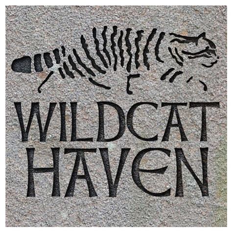 Wildcat Haven - Saving Scottish Wildcats