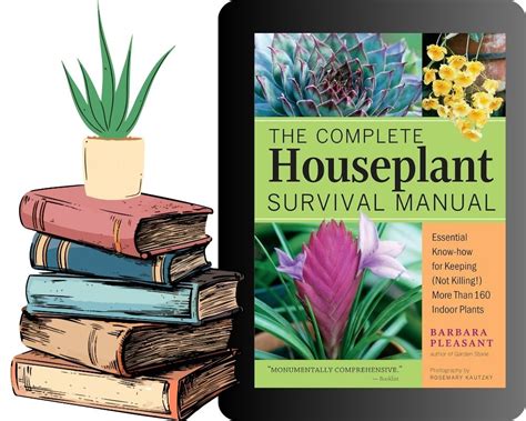 Houseplant Identification Book: 10 of the Bests - House Plant ...