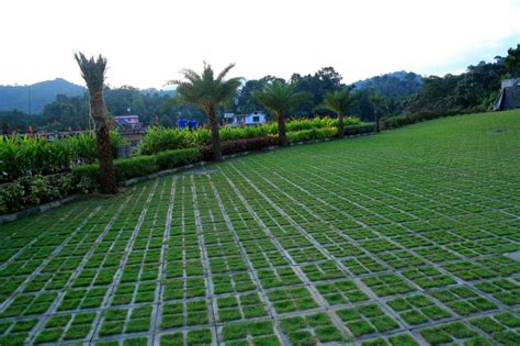 Grass Pavers . at Rs 88/piece | Concrete Grass Paver in Thrissur | ID ...