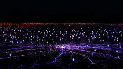 Uluru Field of Light - Why you Should Experience the Magic