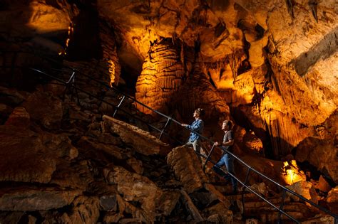 10 Of the Best Tennessee Caves to Visit at least Once - Flavorverse