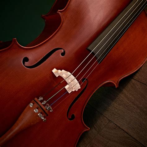 Cello vs. Double Bass – What’s the Difference? | Gear4music