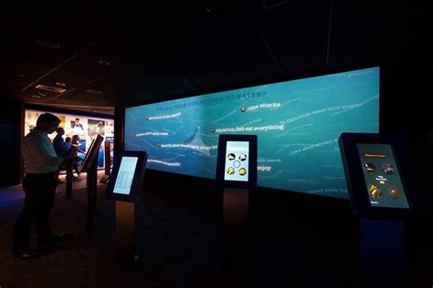 National Aquarium in Baltimore Exhibit Design | CambridgeSeven