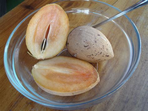 Sapodilla | Raw food recipes, Food, Healthy recipes