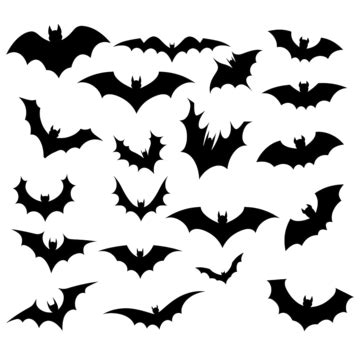 Set Of Bats Silhouette For Halloween, Halloween Concept, Vector ...