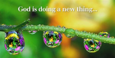 God is Doing a New Thing | Thin Within