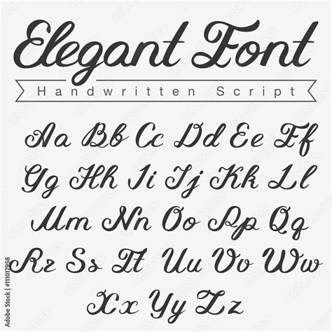 Elegant Handwritten Calligraphy Script Font design vector Stock Vector ...