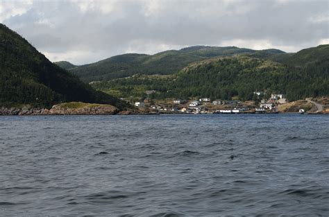 Bonavista Peninsula | Old Bonaventure, Trinity Bight | Stephen Millar ...