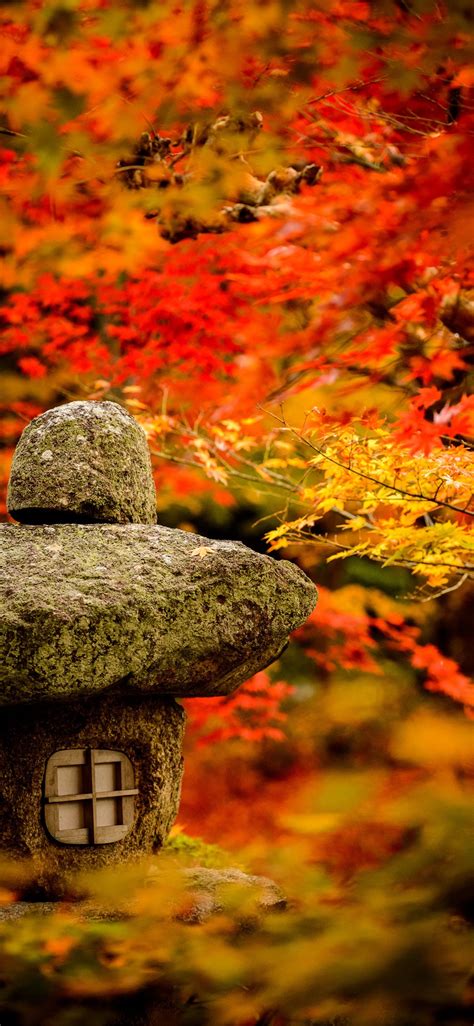 Autumn Bamboo Wallpapers - Wallpaper Cave